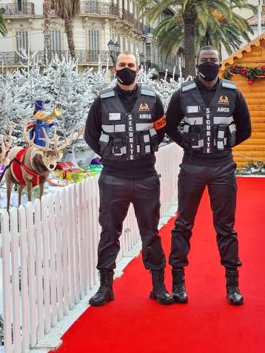 Agent de Sécurité Pro